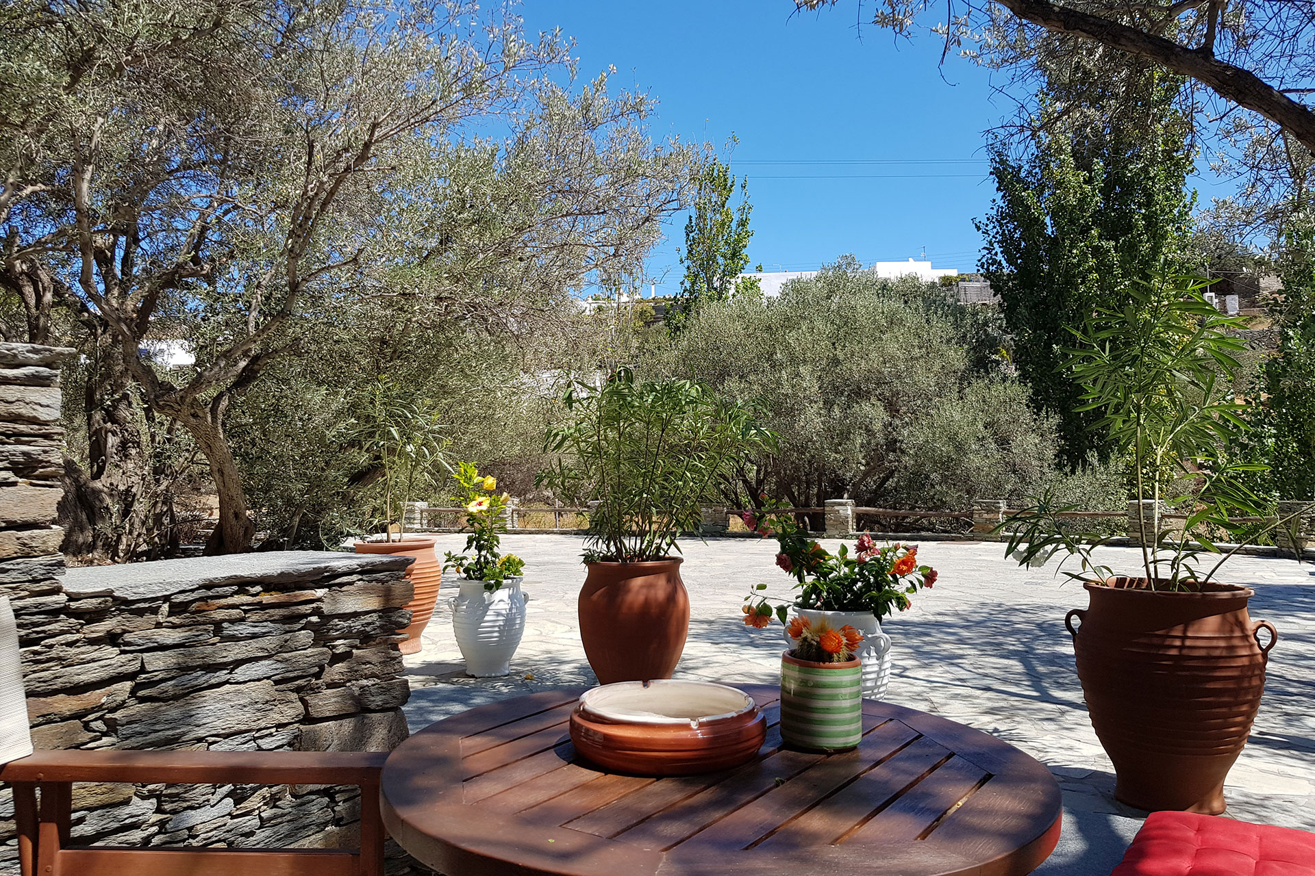 Garden terrace of a superior double room