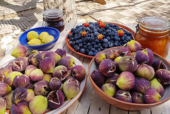 Fresh fruits from the garden