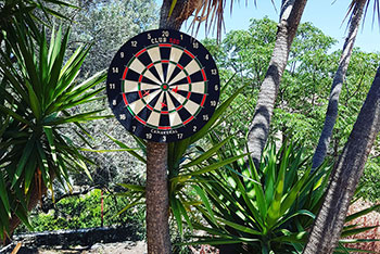 Darts board in the garden