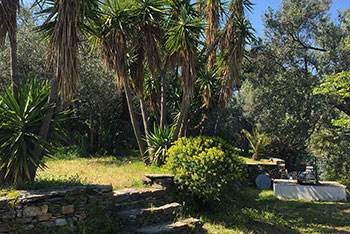 Dans le jardin de Andromeda Sifnos