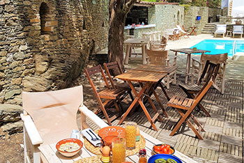 Breakfast under the large trees